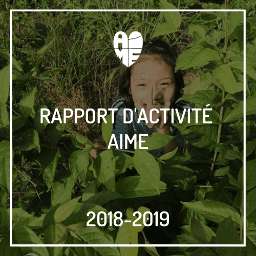 Rapport d'activité AIME 2018-2019